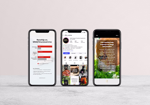 Elite Canine | Instagram Management