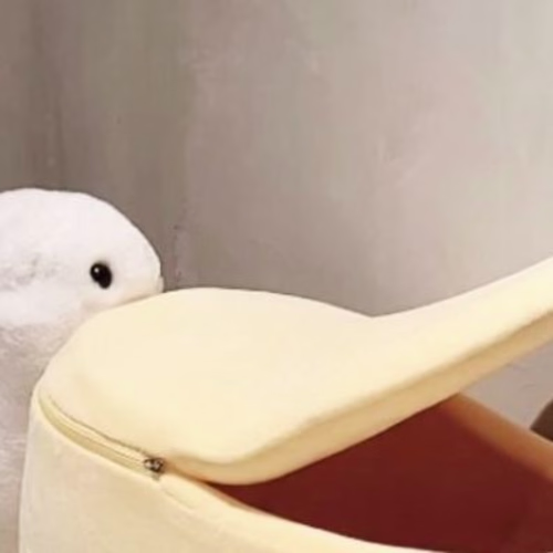 Content Creation for Haiwan (Malaysia)