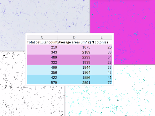 Automatic Microscopy Image Analysis