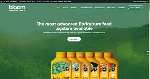 Website Development of Bloom Yellow Bottles