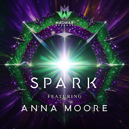 Wordpress theme installations and demo import