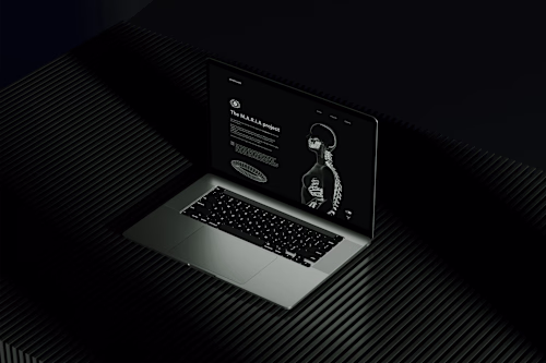 Anima Labs - A Unique project requires 
a unique look!