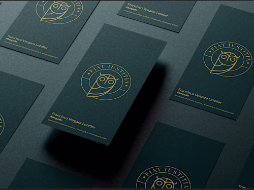 Francisco Vergara L. | Visual identity
