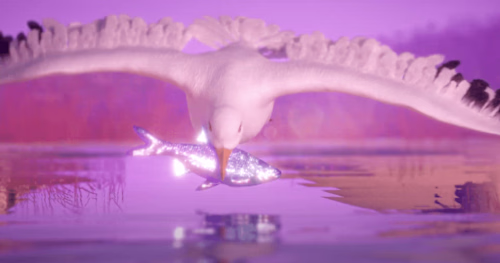 UE Animation bootcamp