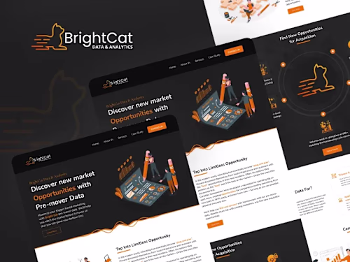 IT Consultant - Brightcat