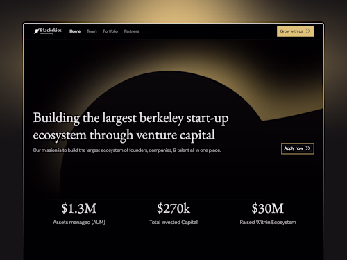 Blackskies Investment Website Development