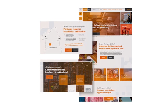 Complex CMS Webflow Site