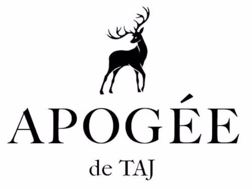 Apogee
