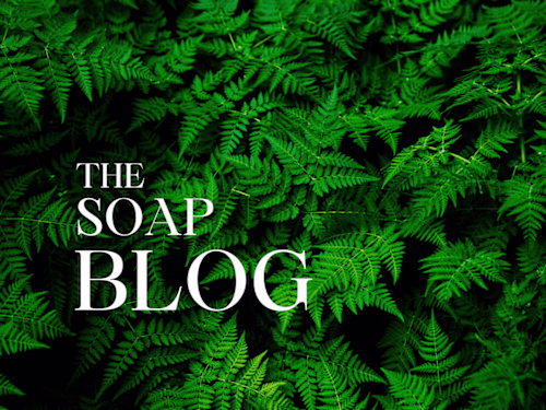 Soap Cart Blog Writing✏️