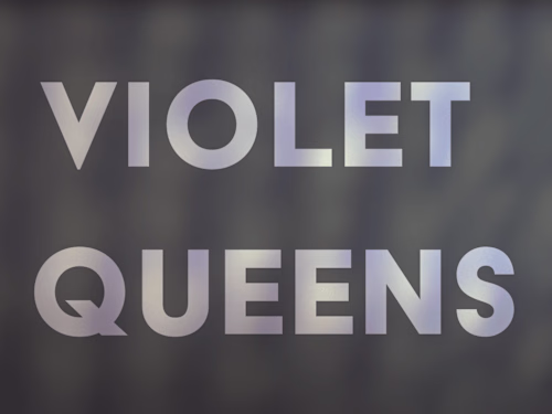 Arav Goswami - Violet Queens