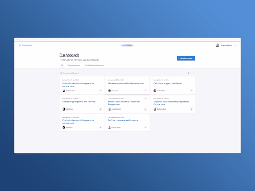 Business intelligence application