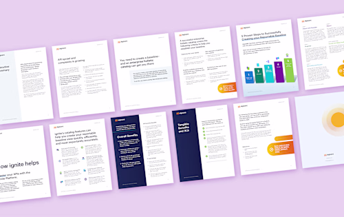 Marketing Collateral / Report Design