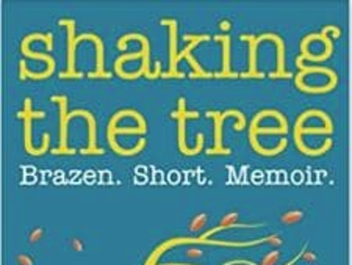 Shaking the Tree: Brazen. Short. Memoir. (Volume 3): I Didn’t S…