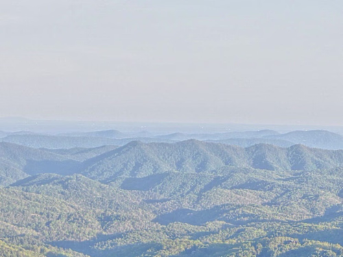 Shout Into The Void | A Substack Newsletter