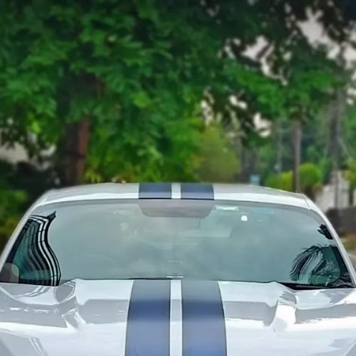 Asutosh Mahapatra on Instagram: “White beast 💀”