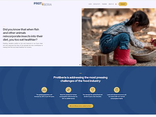 Worms! | Translation From Spanish to English