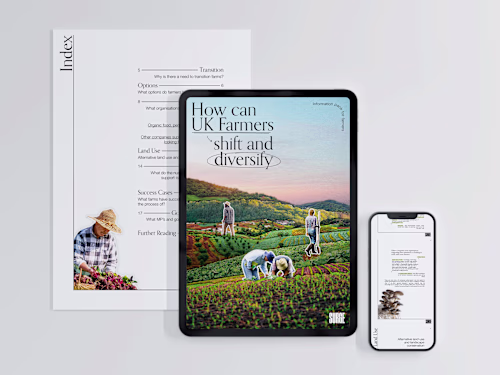 Surge - Editorial Design