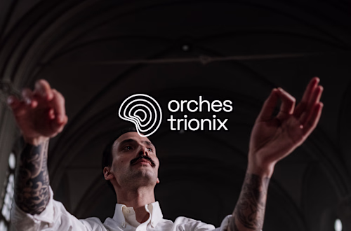 Visual Identity System