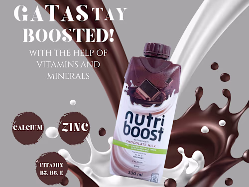 Product description for Nutri Boost