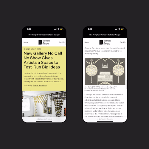 Boston Art Review | Brand Identity and E-Commerce Website