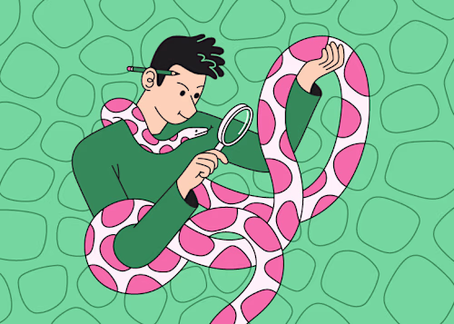 2023 Python Developer Salaries Around the World. Author.