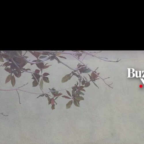 LA Hope Dealer Protest Art Installation - Social Media Video