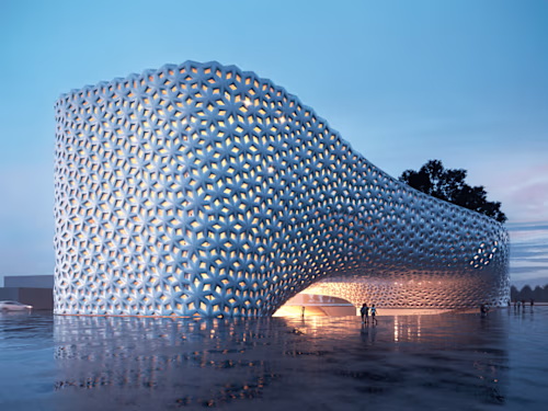 Oasis public library