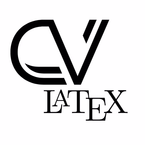 High Quality Academic CV Development