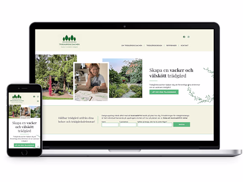 Website Design and Development