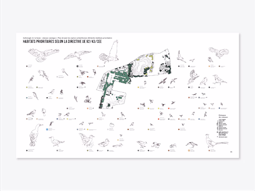 Anthology of wildlife: wild birds in priority habitats