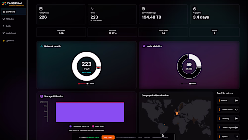 Web Analytics Platform for a Solana Blockchain Storage Solut...