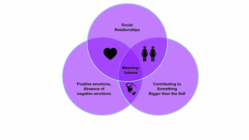 Exploring Happiness and Meaningfulness