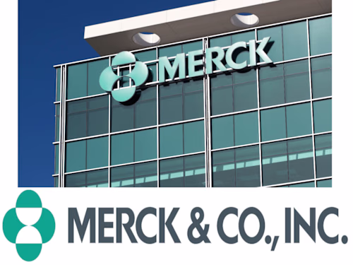 Researching financial markets through WSJ & Factset.