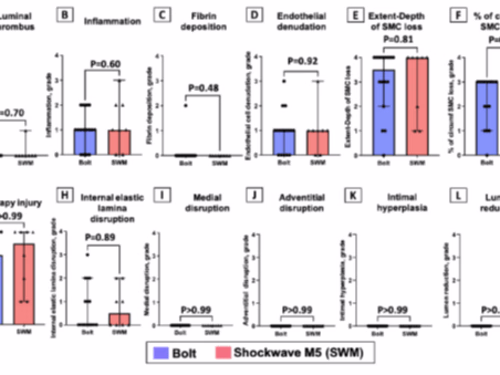 English-Spanish Translation & Localization