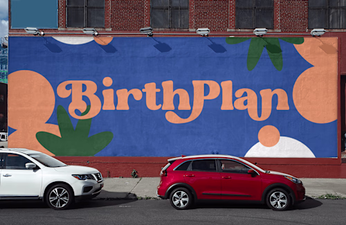 BirthPlan — Web Design, Branding