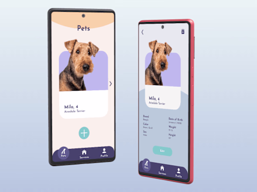 MiMi | Flutter Project