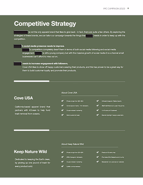 Writing for Marketing Strategy