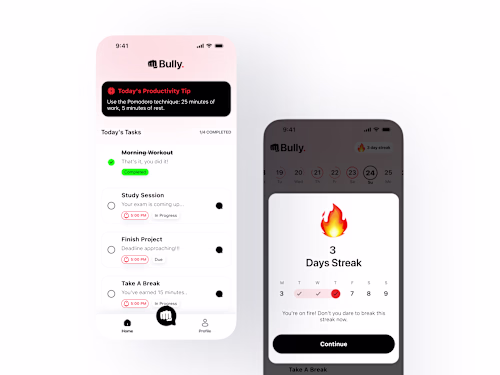 Bully — The No-Excuses Task Master