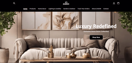 Shopify E-commerce Success Story