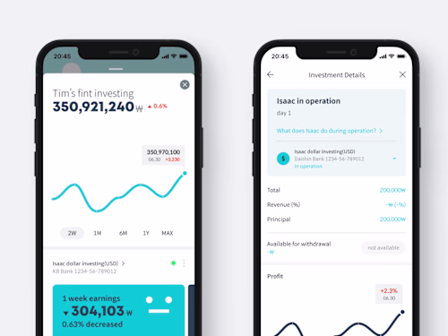 Enhancing investing experience: Fint