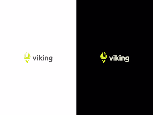 The Viking App: Branding 