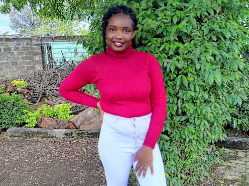 Article and essay writing 