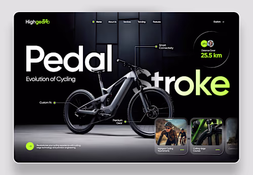 Website Design Collection '24