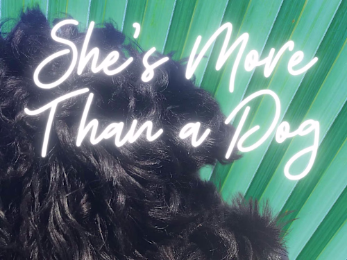 She's More Than a Dog: How Unconditional Love Replaced 3 Pills a