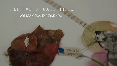 MUESTRA ARTISTA VISUAL EXPERIMENTAL on Vimeo