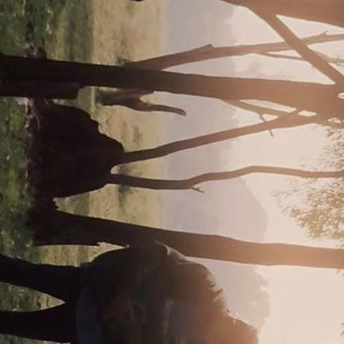 Sujay on Instagram: “Music 🖤
-14
#Trending #InstaGood #Concert…