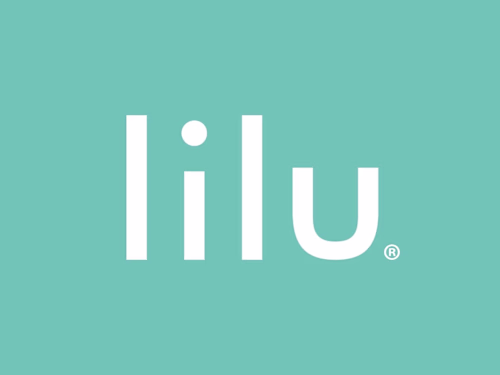 Lilu pitch deck and strategic advice