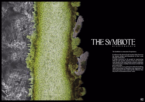 THE SYMBIOTE