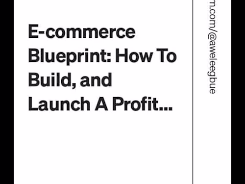 E-commerce Blueprint: How To Build, and Launch A Profitable Onl…