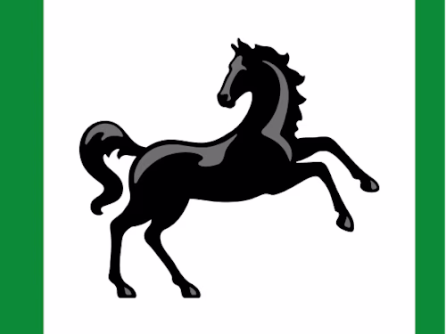 Finance & Insurance - Landing Page Copy 